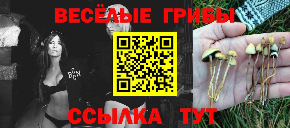 Галлюциногенные грибы мицелий  Вход с VPN  Шебекино 